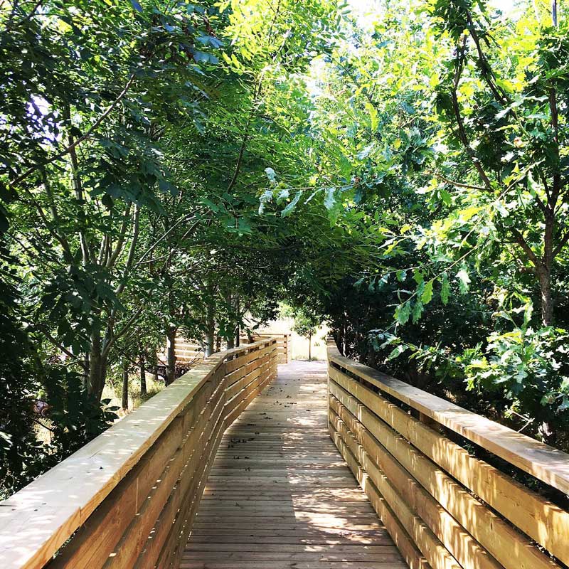 View of the Boardwalk to Suirrel Woods